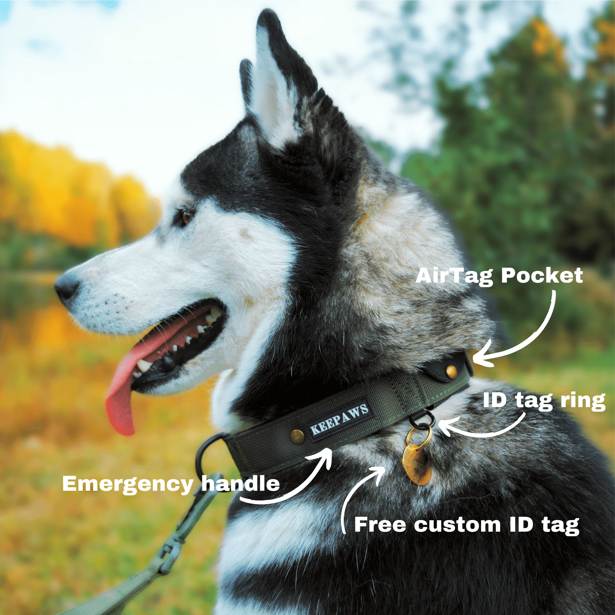 Keepaws™ Tactical AirTag Collar - carbermais