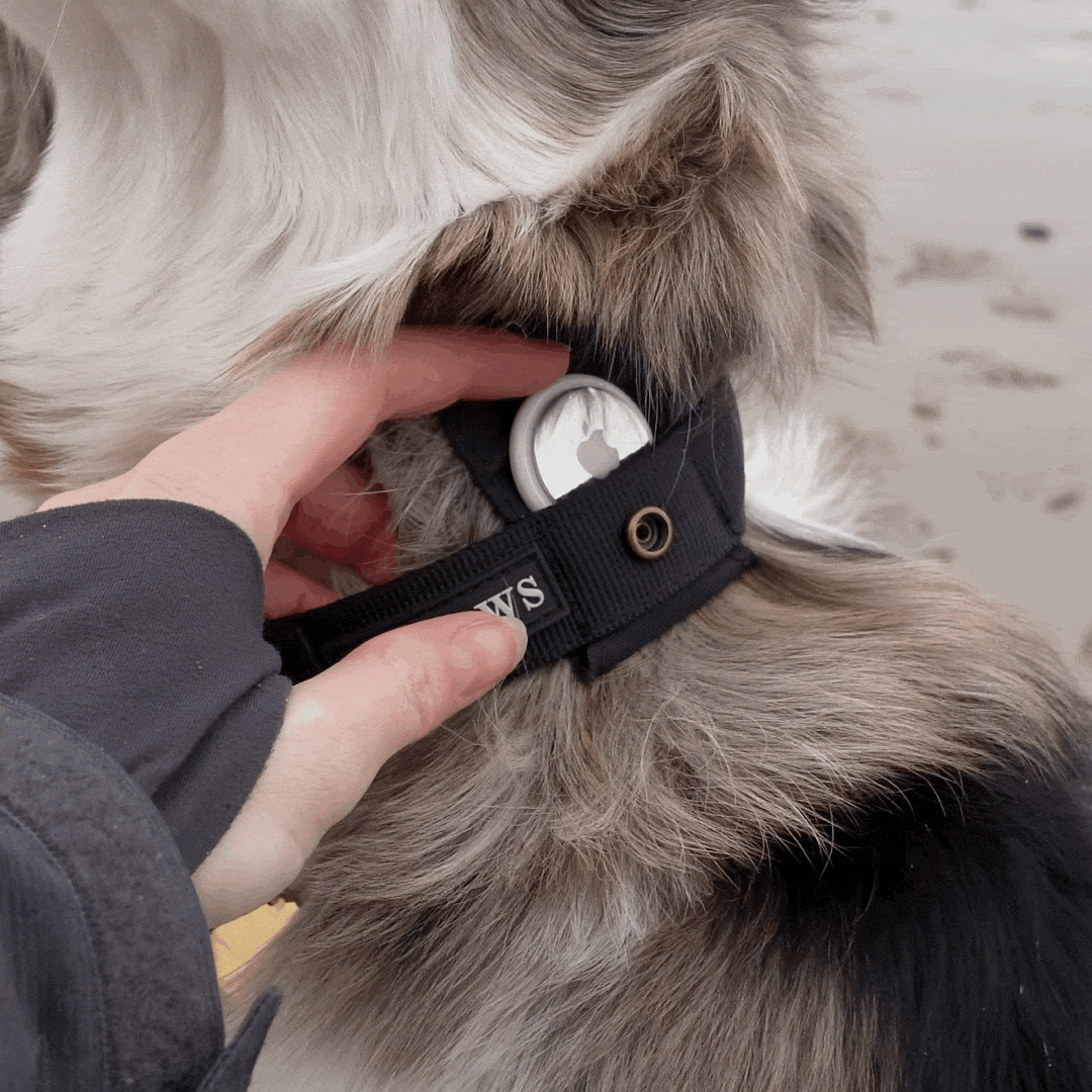 Keepaws™ Tactical AirTag Collar - carbermais