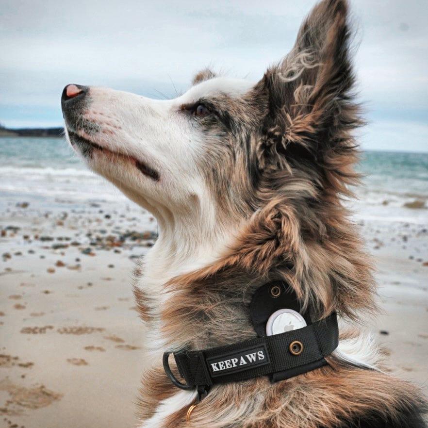 Keepaws™ Tactical AirTag Collar - carbermais
